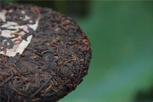 元昌全國茶友培養(yǎng)計(jì)劃