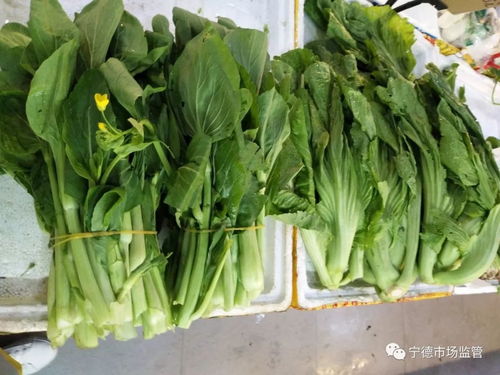 全城抽檢糧油蛋菜肉，守護疫情期間食用農產品安全