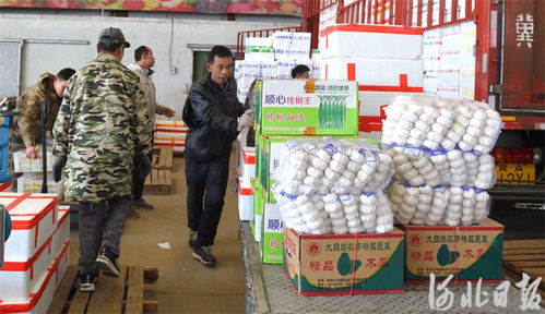 河北邢臺 筑牢節日市場供應防線，守護食用農產品批發安全