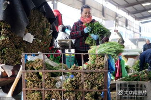 濟南憑雙證才能賣韭菜 出問題直接找源頭，食用農產品批發市場嚴把安全關